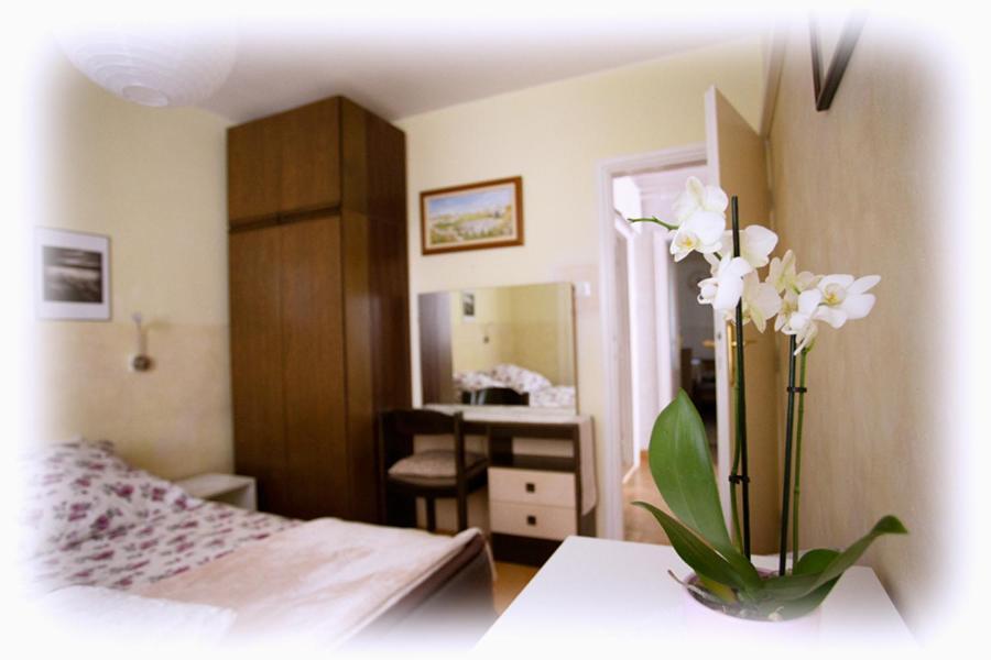 Josipa Apartment *